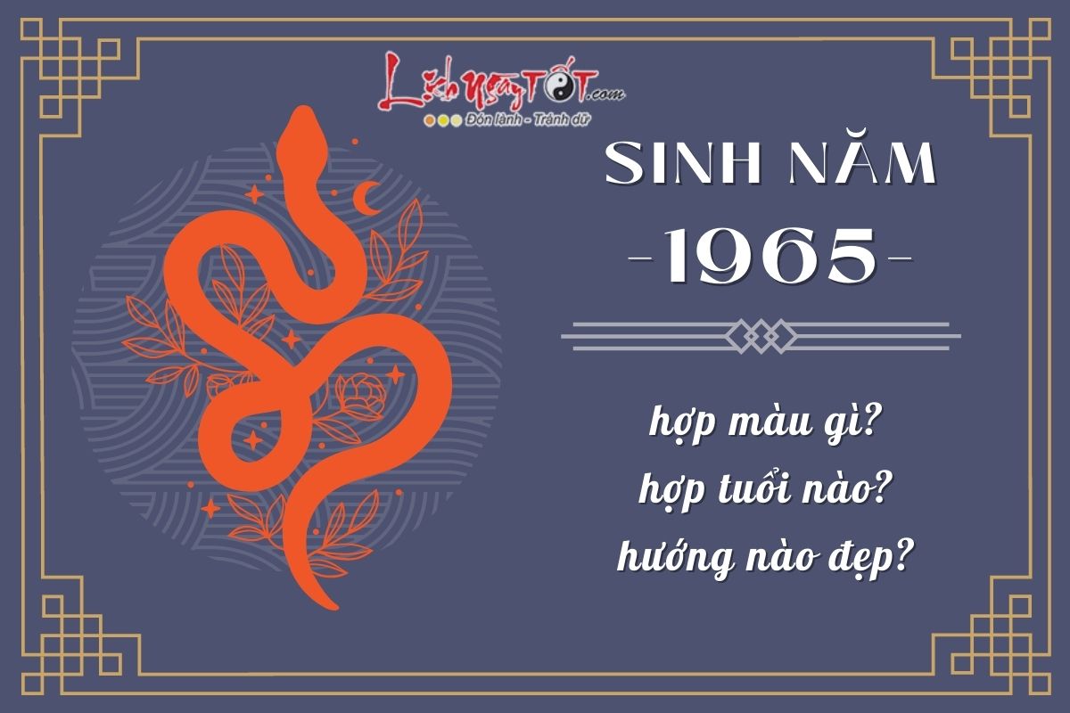 Sinh phái mạnh 1965 - Tuoi At Ty