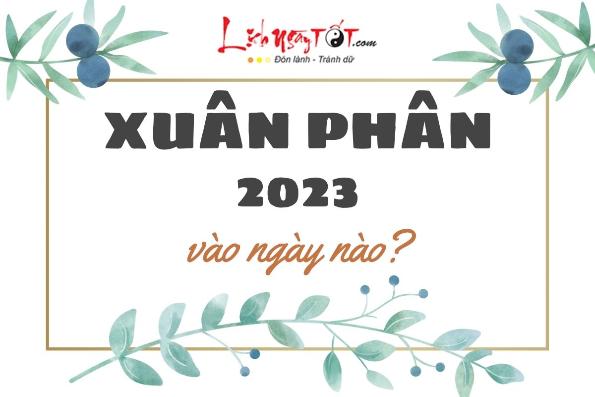 Xuan Phan 2023