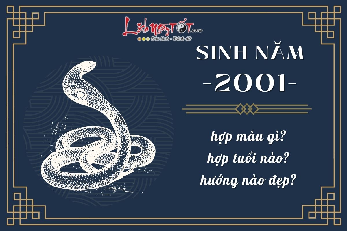 Sinh nam 2001 - Tuoi Tan Ti