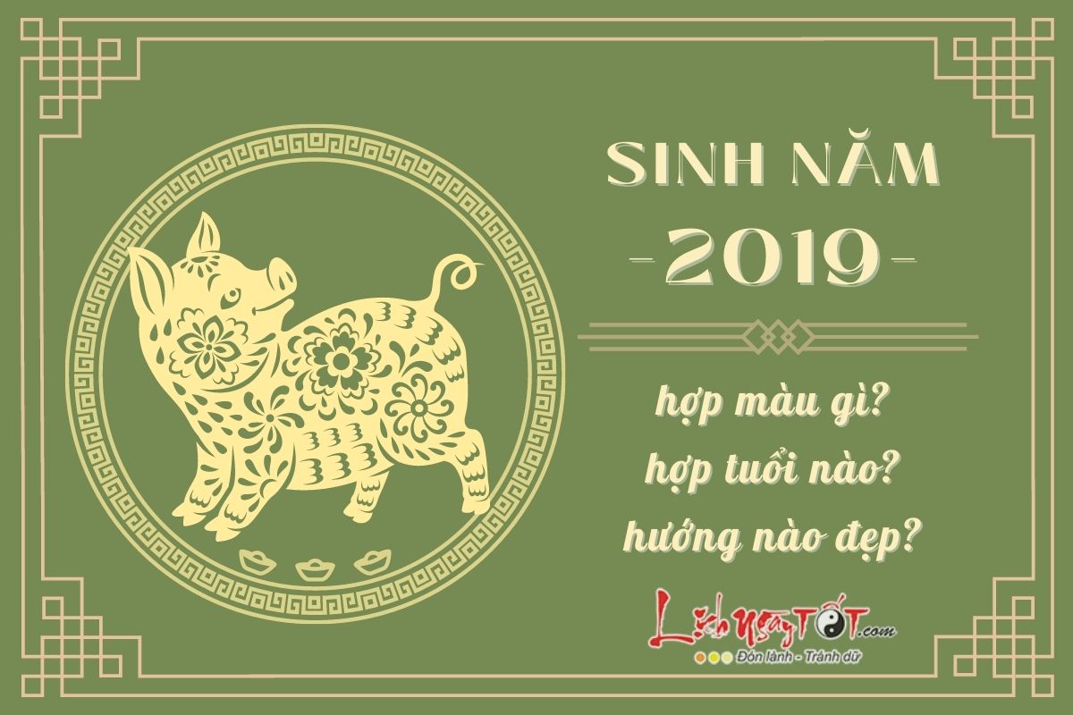 Sinh nam 2019 hop gi