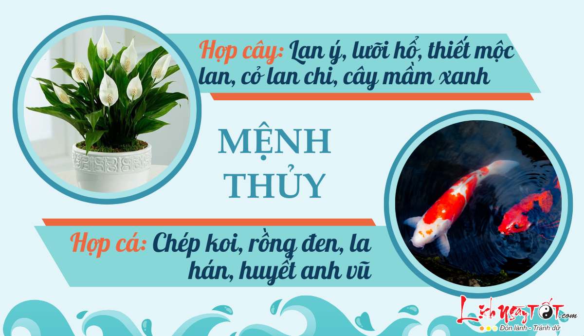 Phong thuy cho menh Thuy