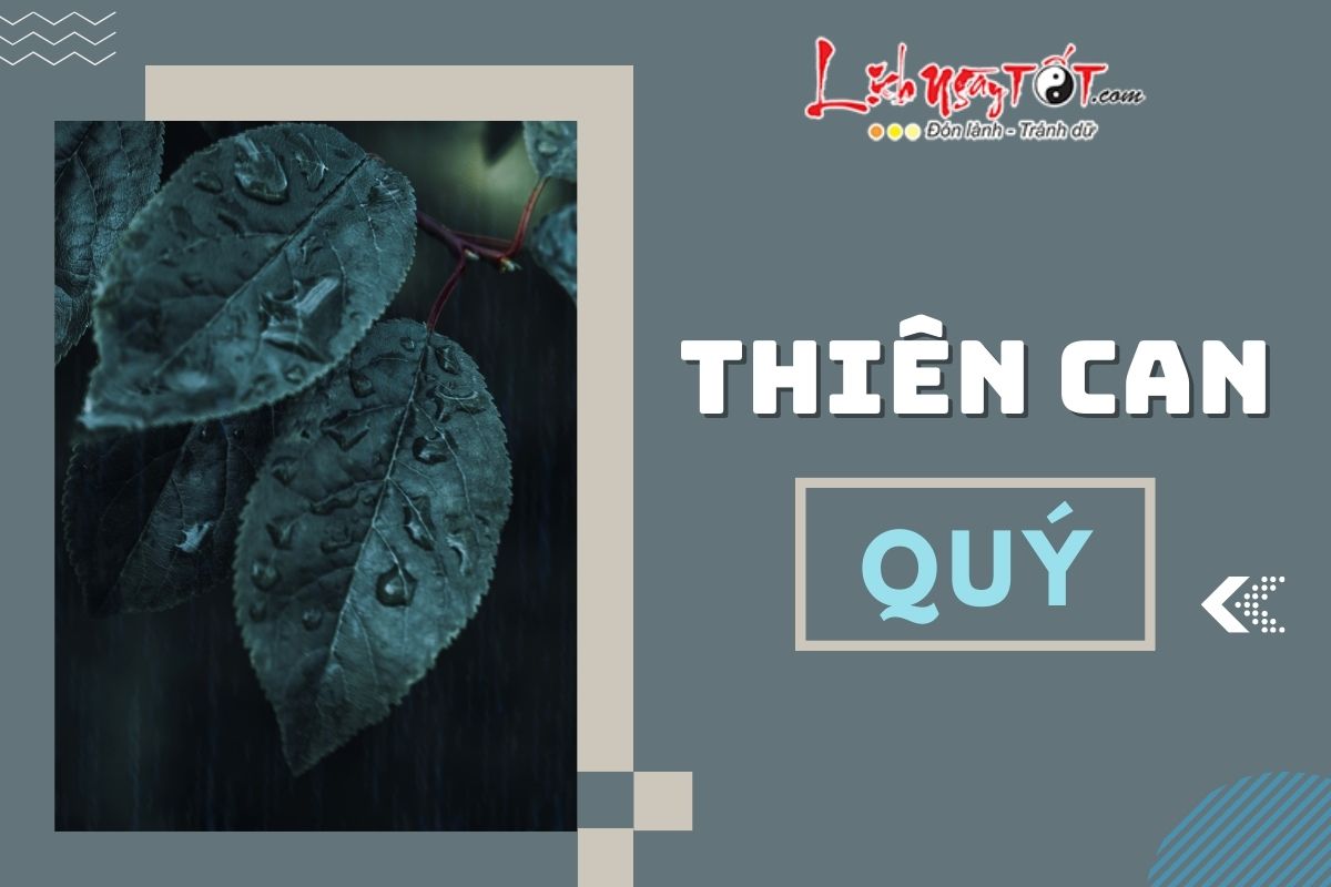 Thien can Quy