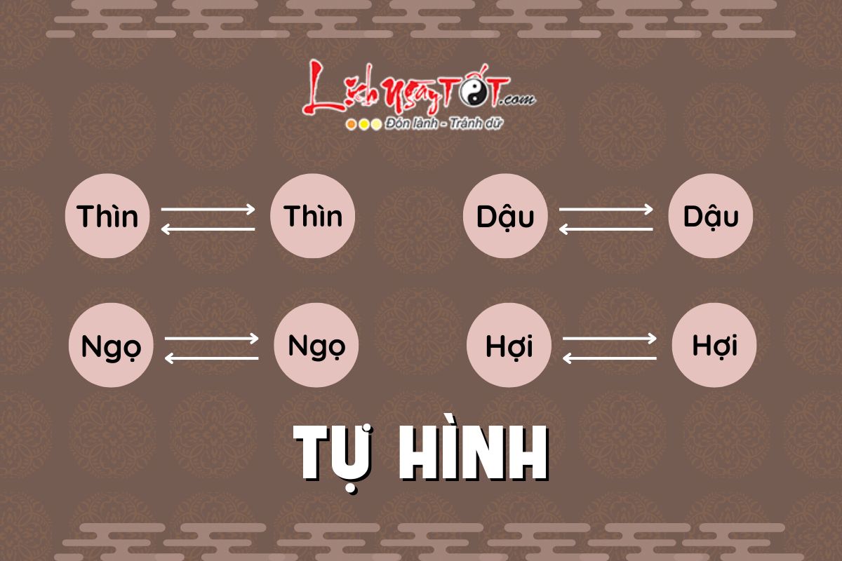Tu Hinh Thai Tue