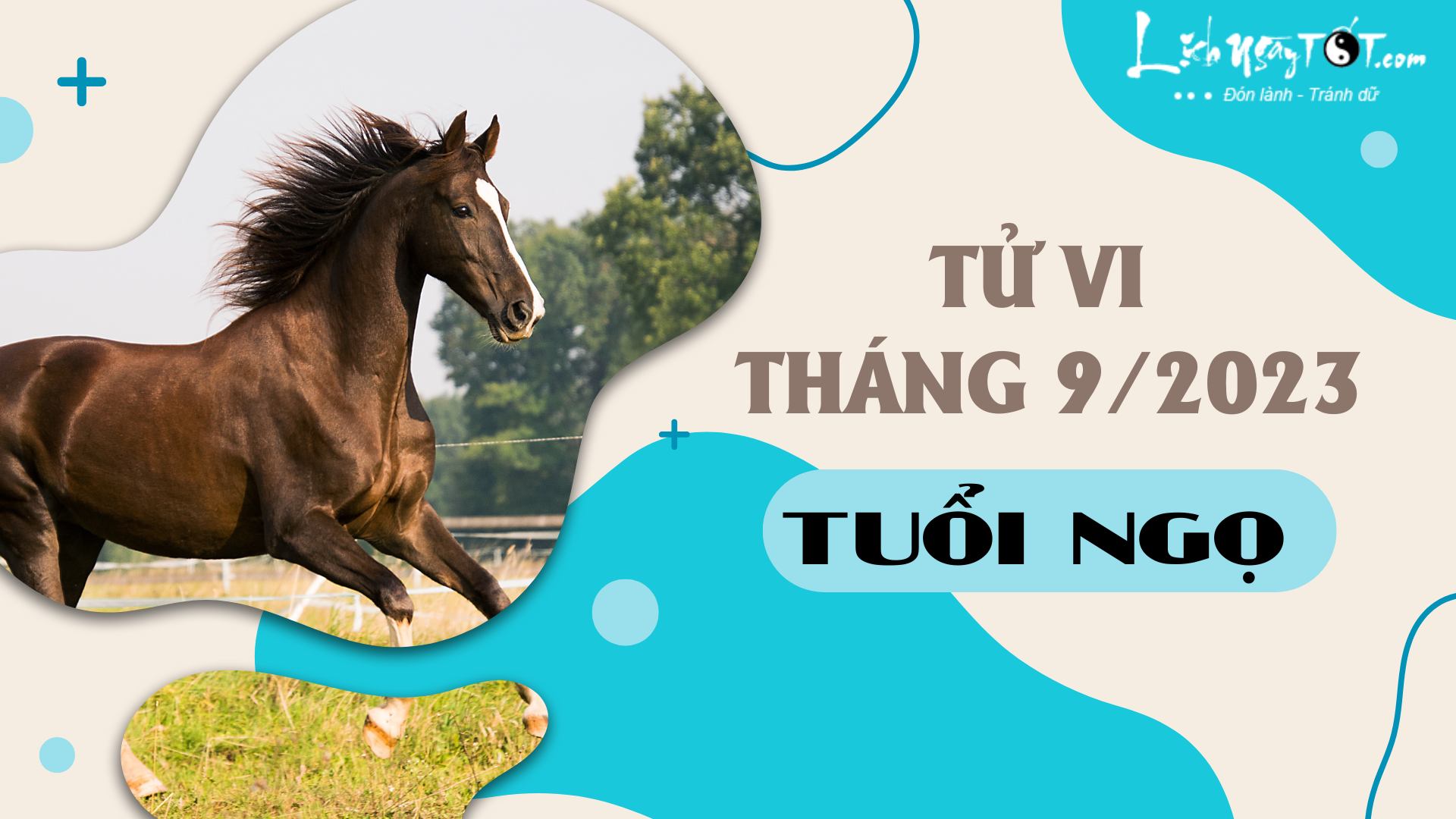 Tuổi Ngọ Tháng 9 Âm Lịch: Tử Vi, Tài Lộc, Tình Duyên và Sức Khỏe