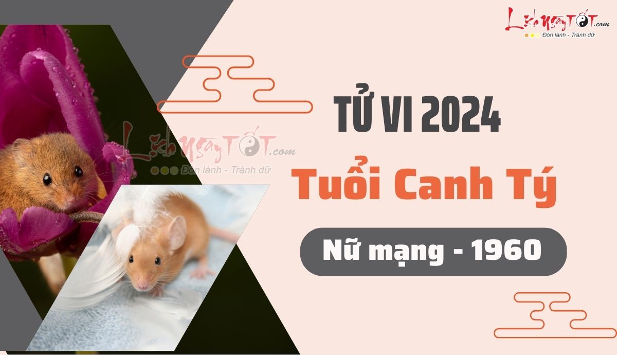 Tu vi 2024 tuoi Canh Ty nu mang