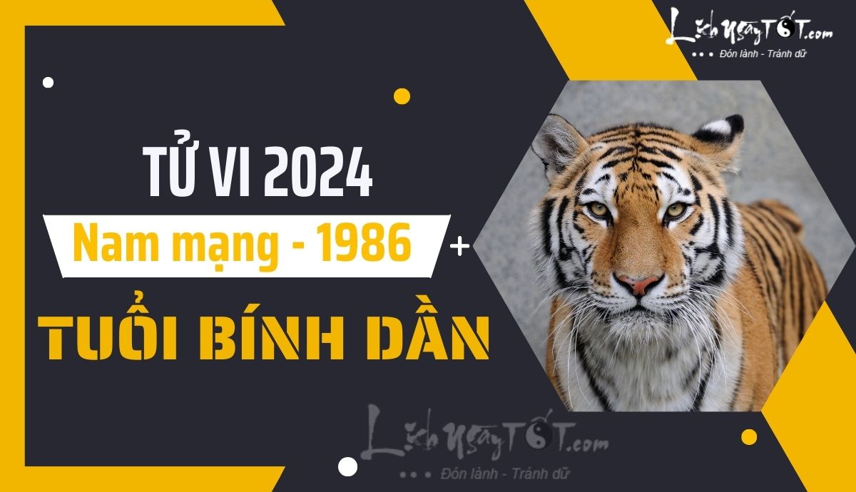 Tu vi 2024 tuoi Binh Dan nam mang