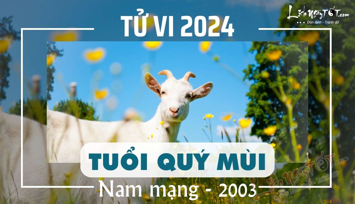 Tu vi 2024 tuoi Quy Mui nam mang