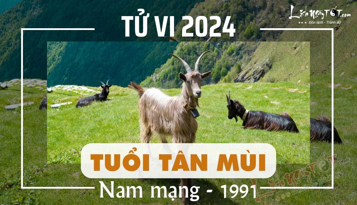 Tu vi 2024 tuoi Tan Mui nam mang