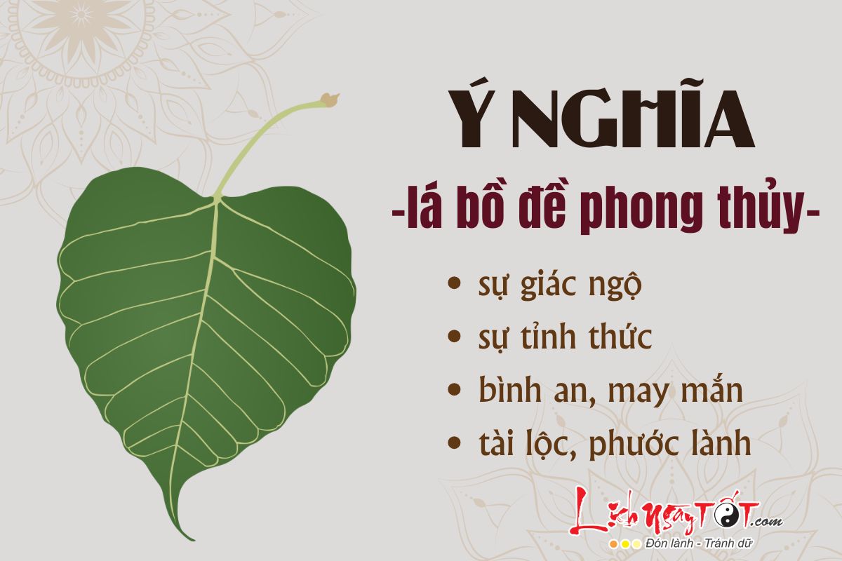 Y nghia cua la bo de phong thuy