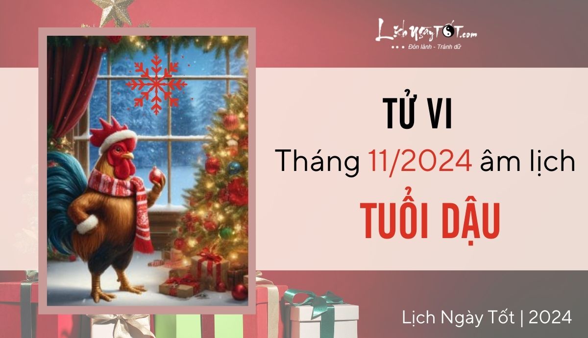 Tu vi thang 11/2024 tuoi Dau am lich