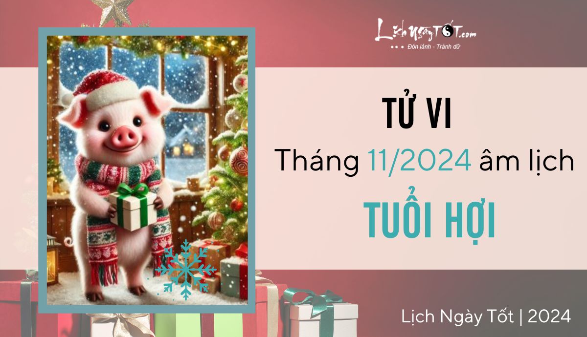 Tu vi thang 11/2024 tuoi Hoi am lich