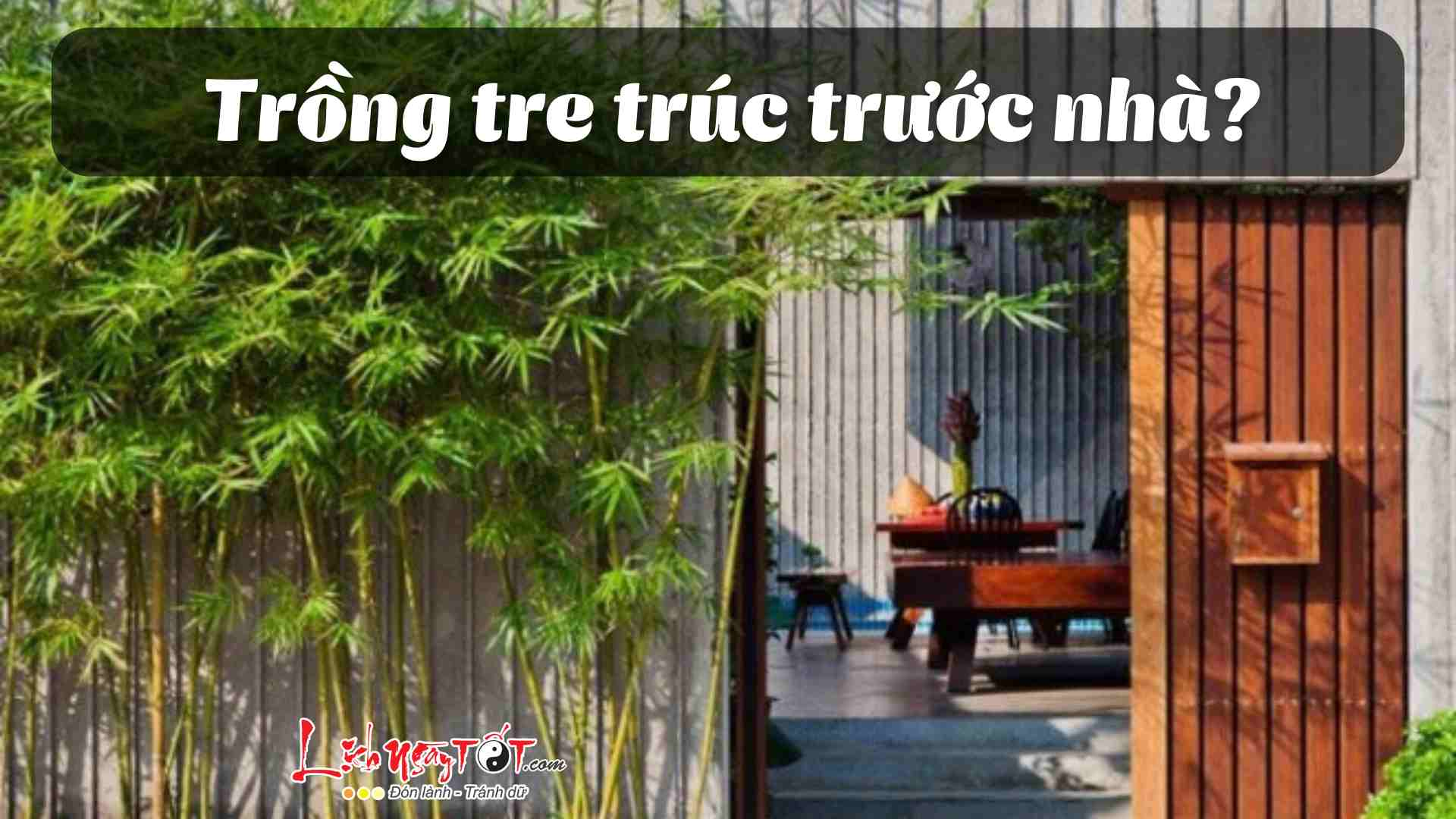 Co nen trong tre truc truoc nha khong, vi sao?