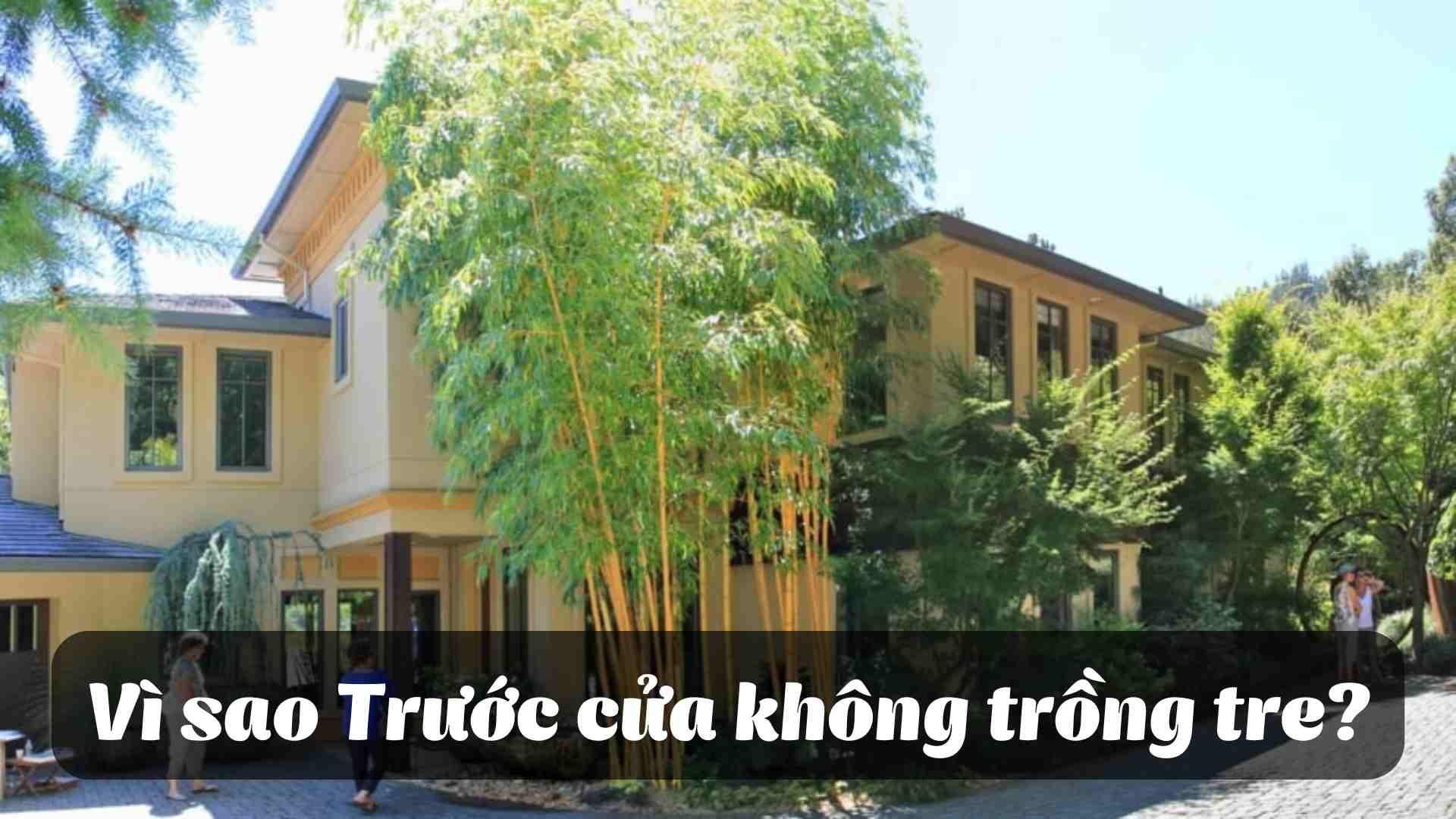 Co nen trong tre truc truoc nha khong?