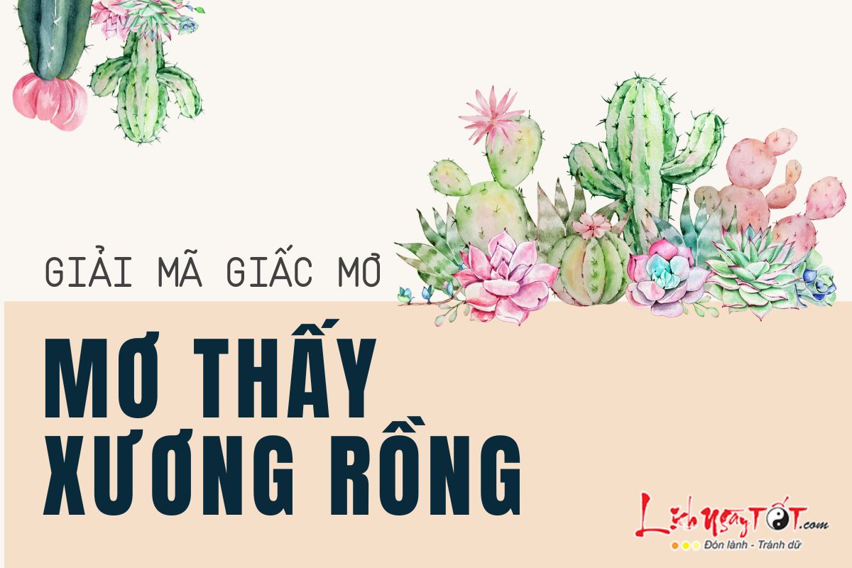 Giai ma giac mo thay xuong rong