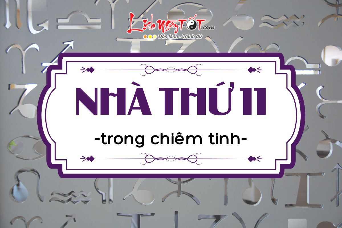 Nha 11 trong chiem tinh