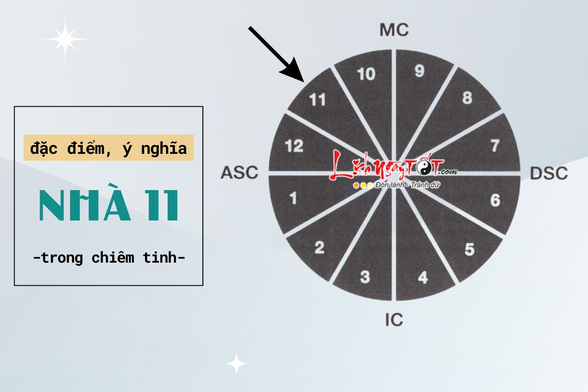 Y nghia, dac diem nha 11 trong chiem tinh