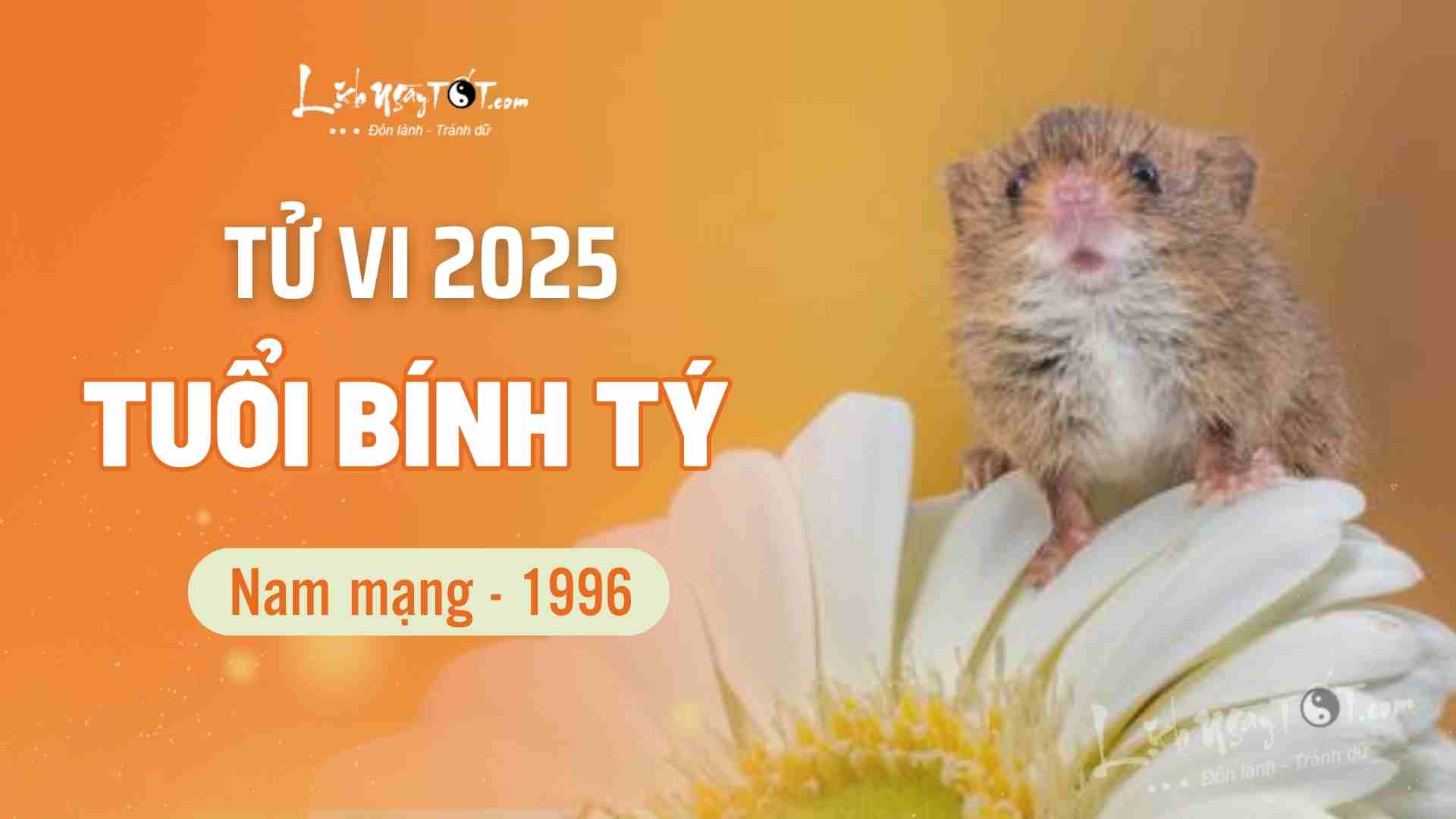 Tu vi 2025 tuoi Binh Ty nam mang 1996