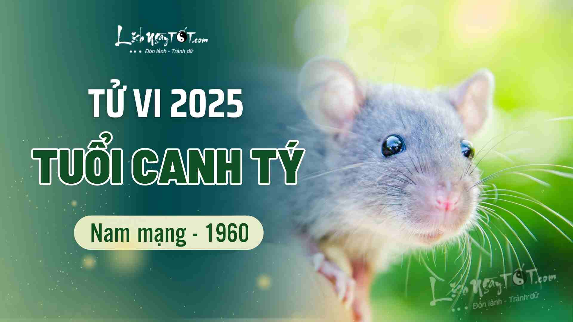 Tu vi 2025 tuoi Canh Ty nam mang 1960