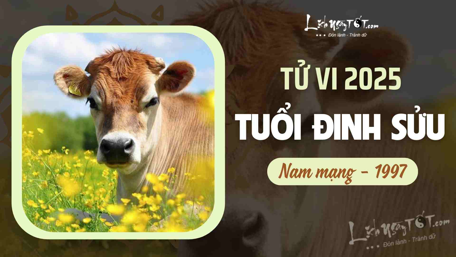 Tu vi 2025 tuoi Dinh Suu nam mang 1997