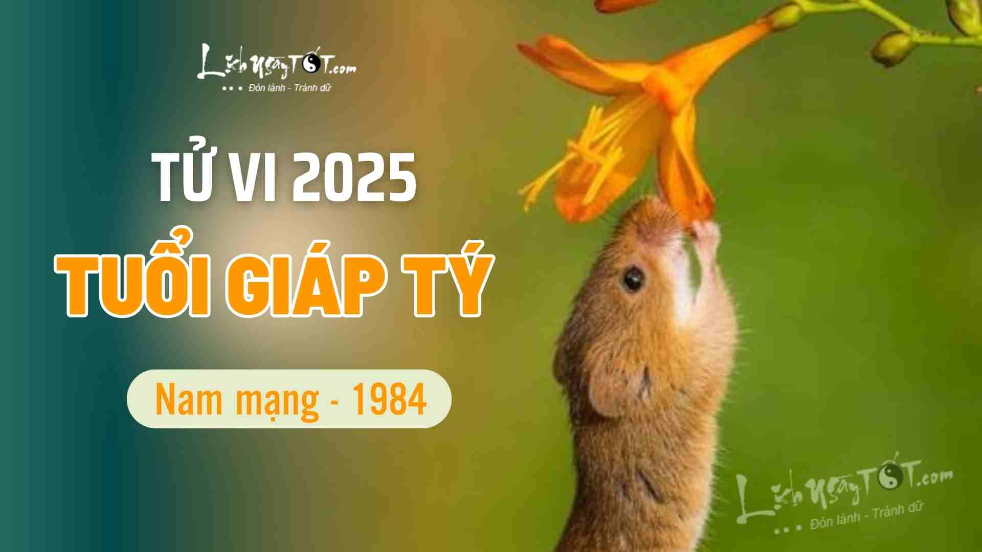 Tu vi 2025 tuoi Giap Ty nam mang 1984