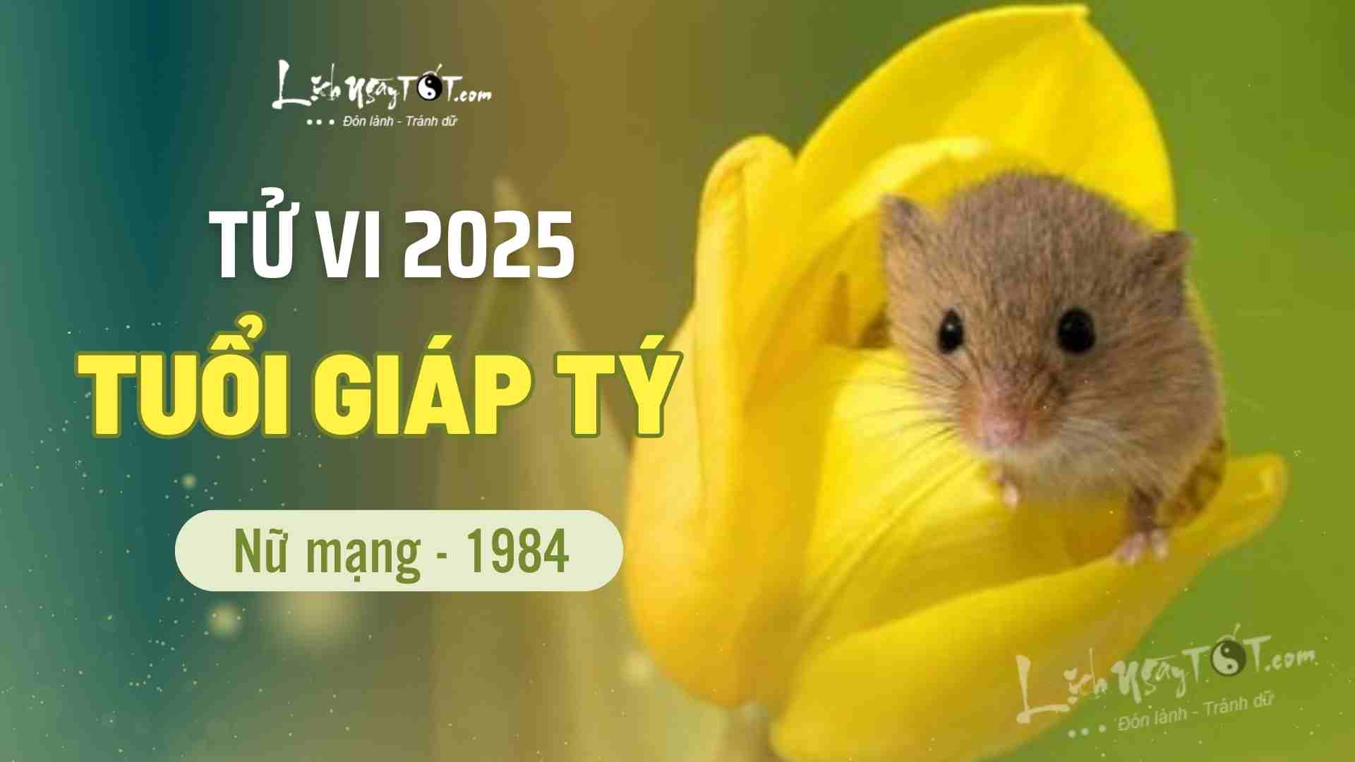 Tu vi 2025 tuoi Giap Ty nu mang 1984