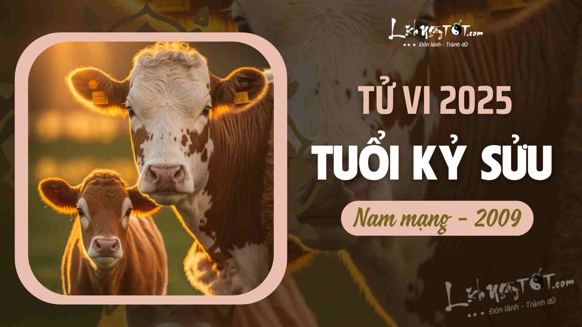 Tu vi 2025 tuoi Ky Suu nam mang 2009