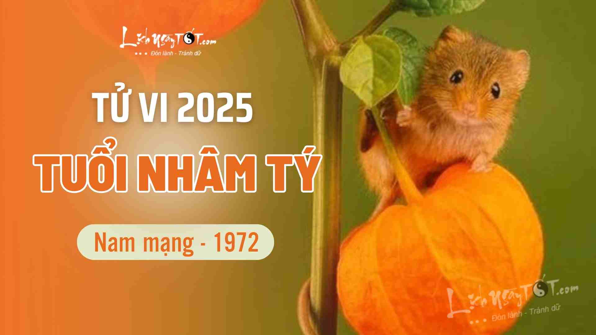 Tu vi 2025 tuoi Nham Ty nam mang 1972