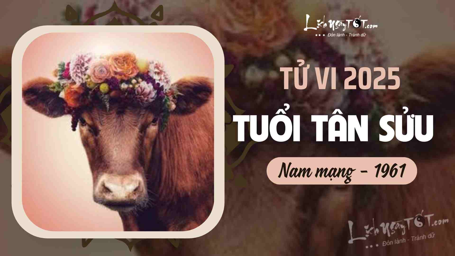 Tu vi 2025 tuoi Tan Suu nam mang 1961