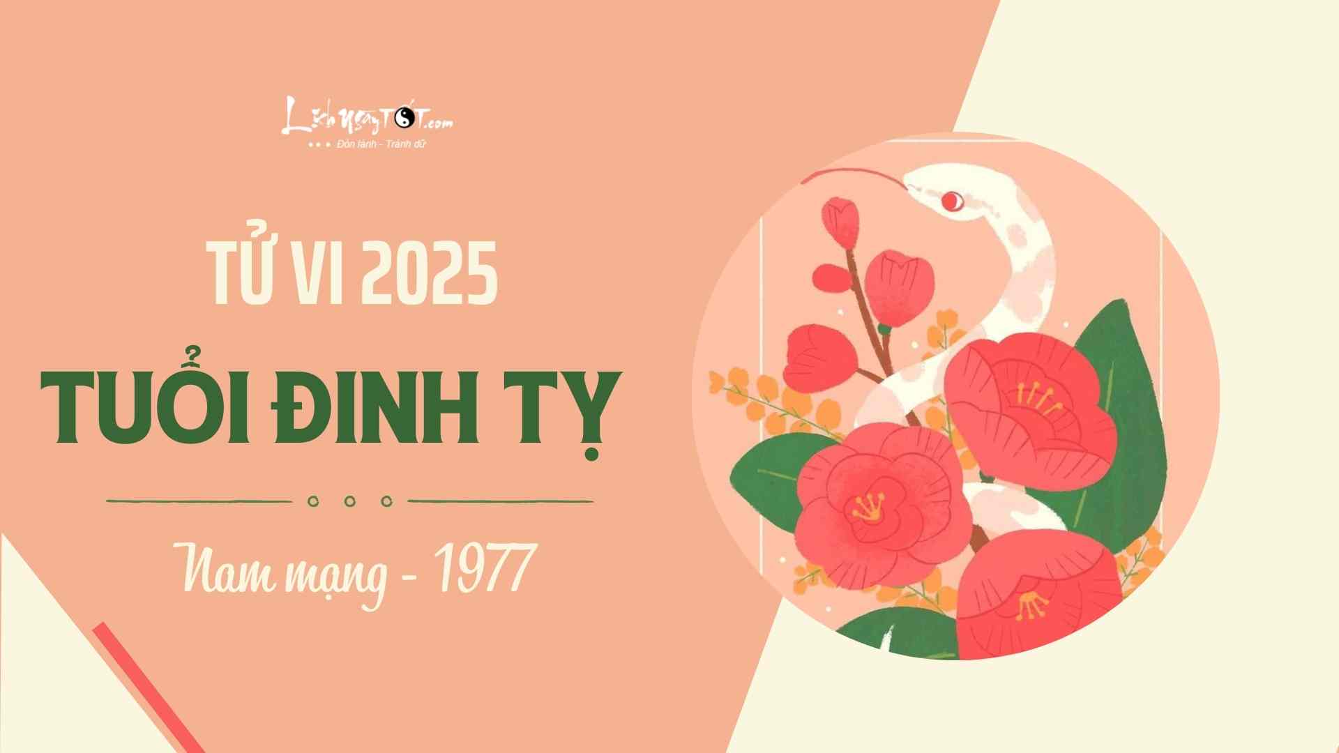 Tu vi 2025 tuoi Dinh Ty nam mang 1977