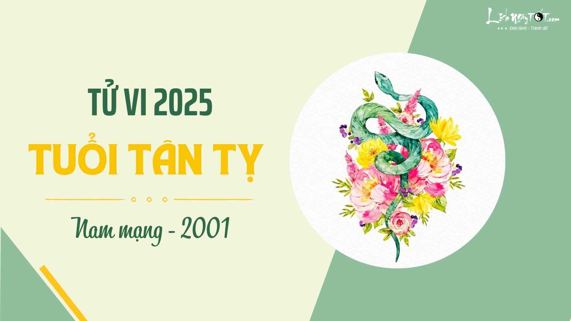 Tu vi 2025 tuoi Tan Ty nam mang 2001