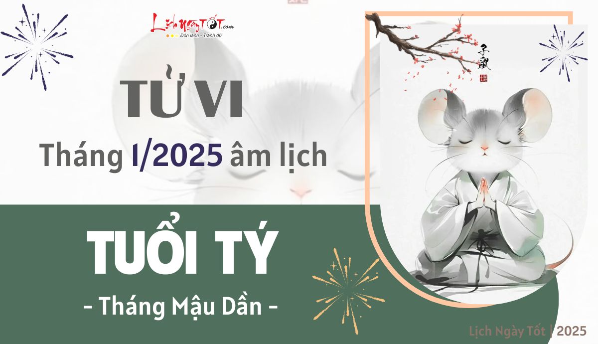 Tu vi thang 1/2025 tuoi Ty am lich