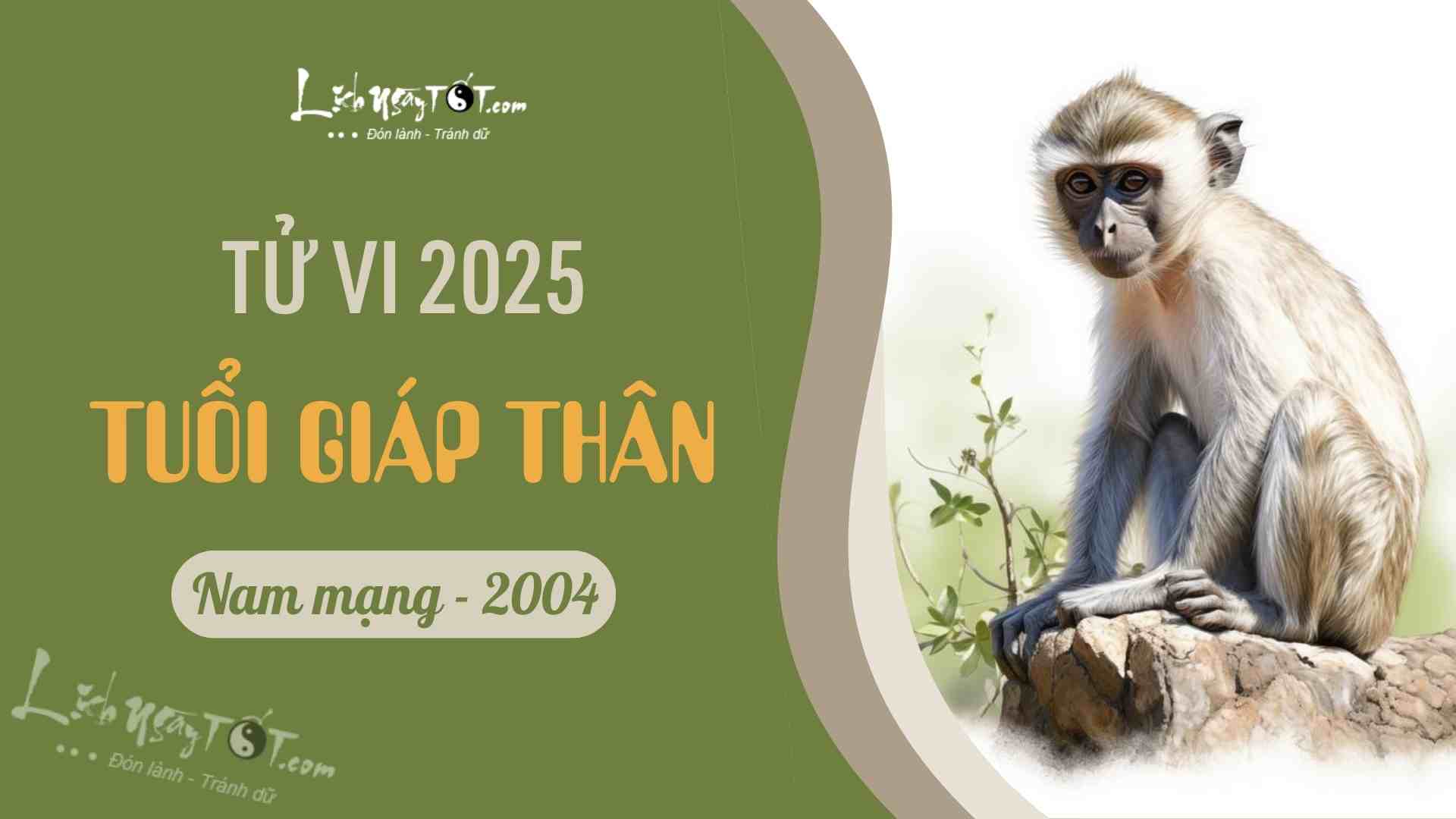 Tu vi 2025 tuoi Giap Than nam mang 2004