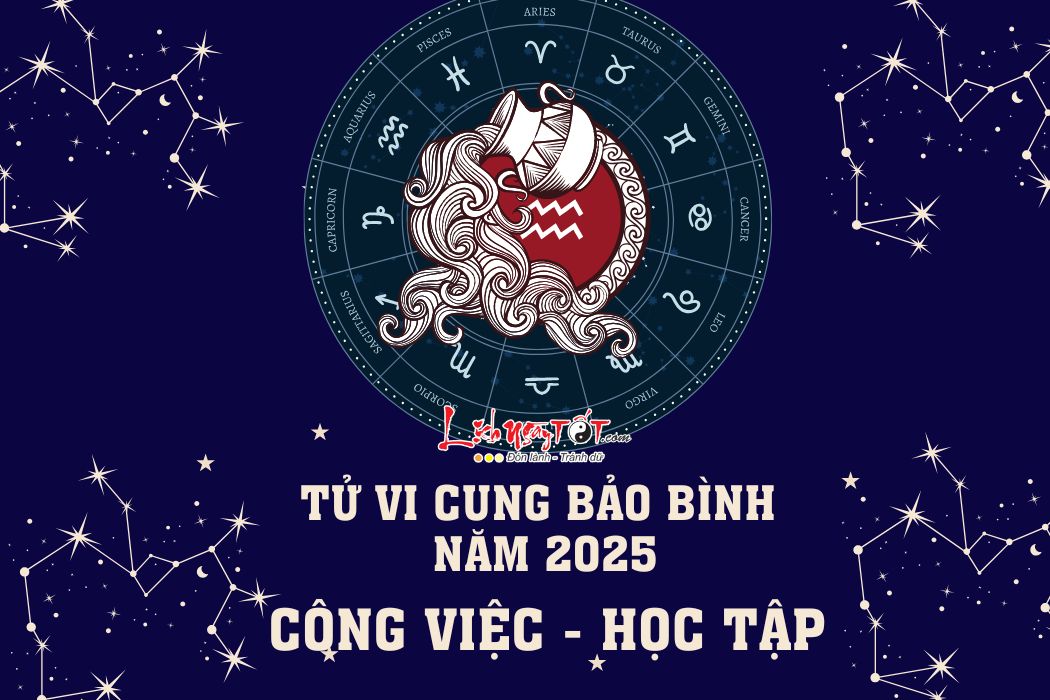 Tu vi su nghiep cung Bao Binh nam 2025