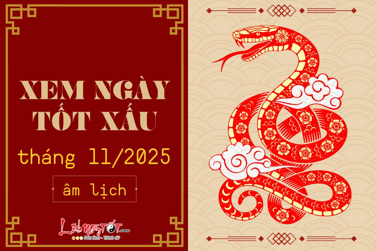 Xem ngay tot xau thang 11 nam 2025