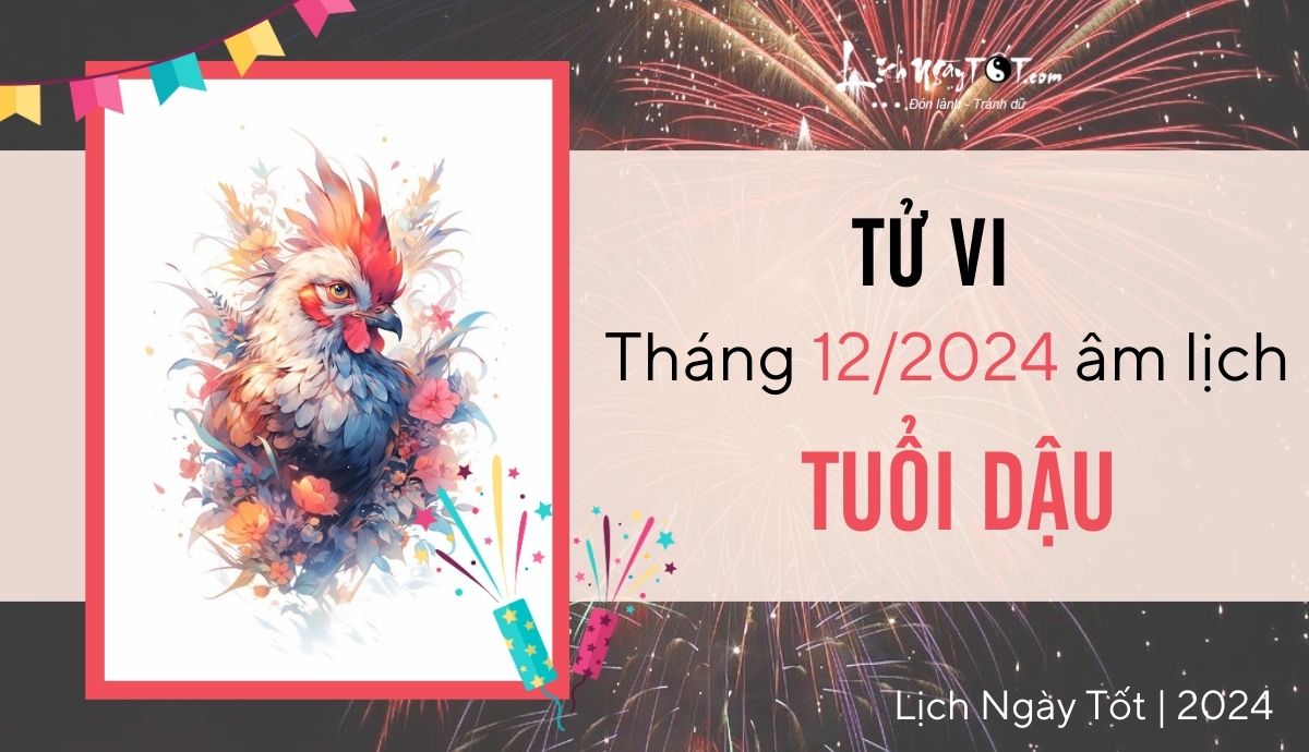 Tu vi thang 12/2024 tuoi Dau am lich