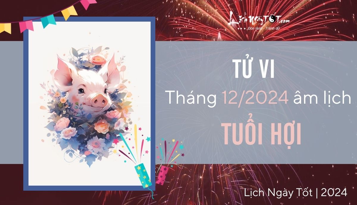 Tu vi thang 12/2024 tuoi Hoi am lich