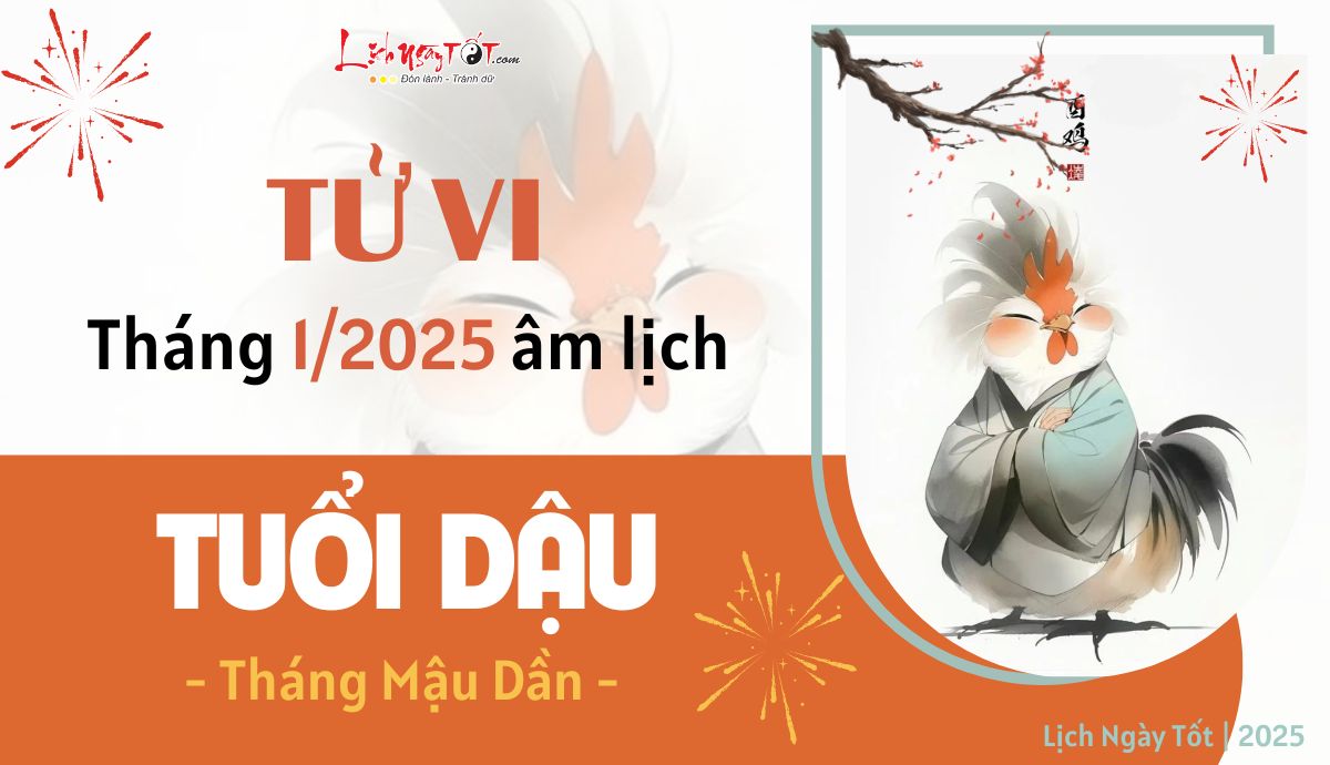 Tu vi thang 1/2025 tuoi Dau am lich