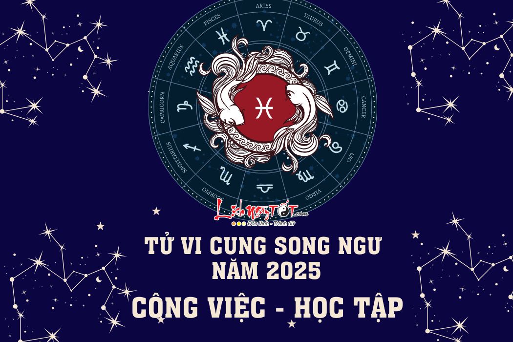 Tu vi su nghiep cung Song Ngu nam 2025