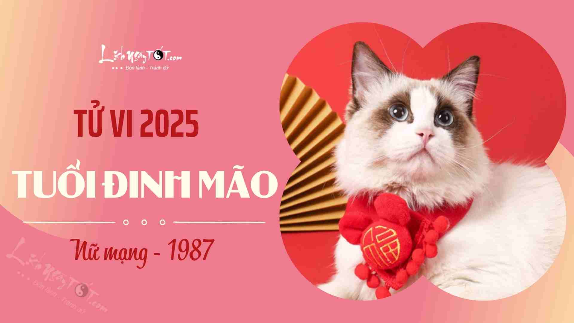 Tu vi 2025 tuoi Dinh Mao nu mang 1987