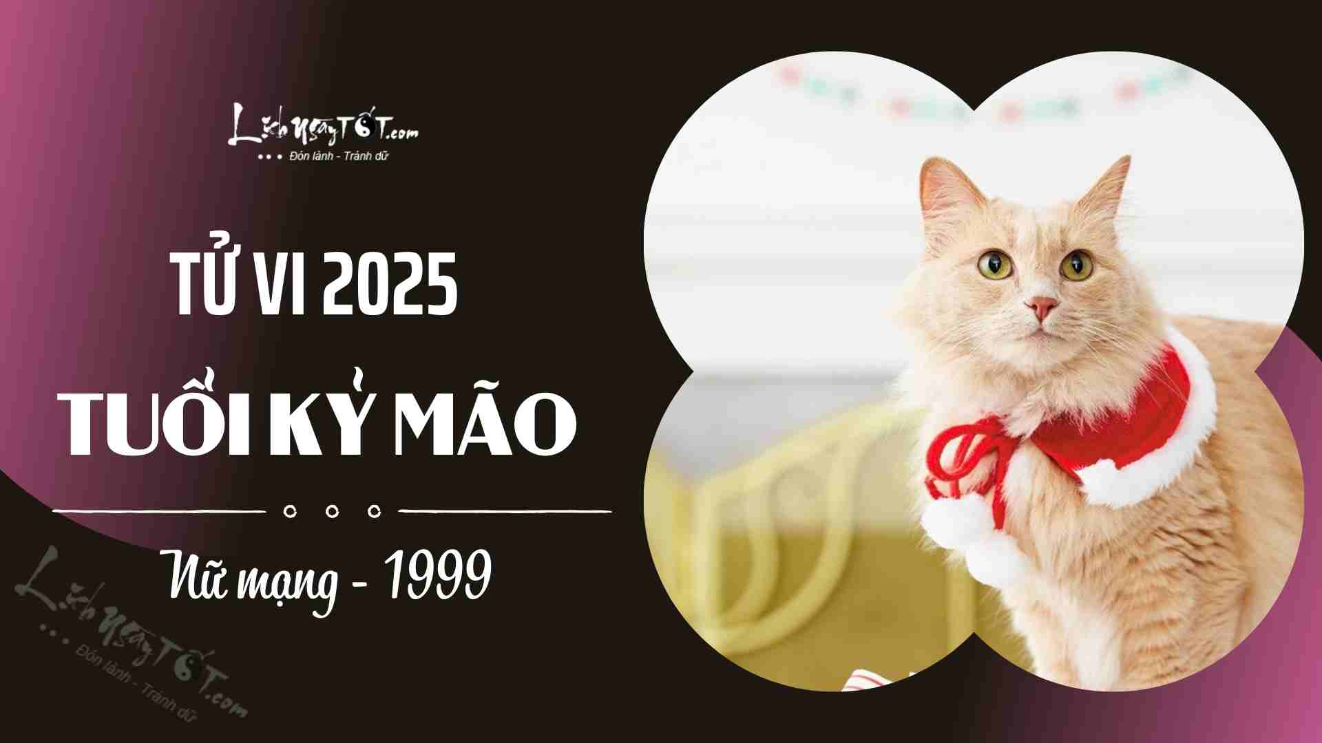 Tu vi 2025 tuoi Ky Mao nu mang 1999