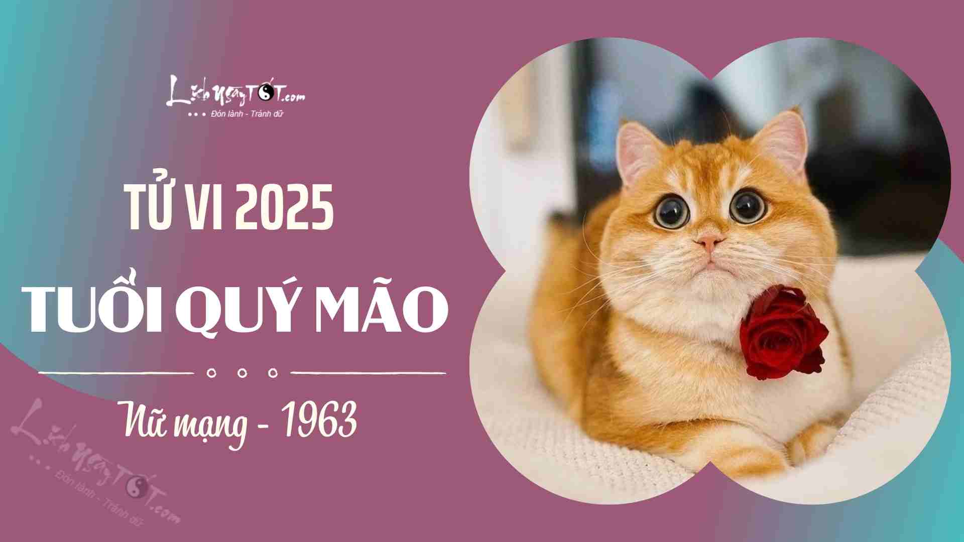 Tu vi 2025 tuoi Quy Mao nu mang 1963