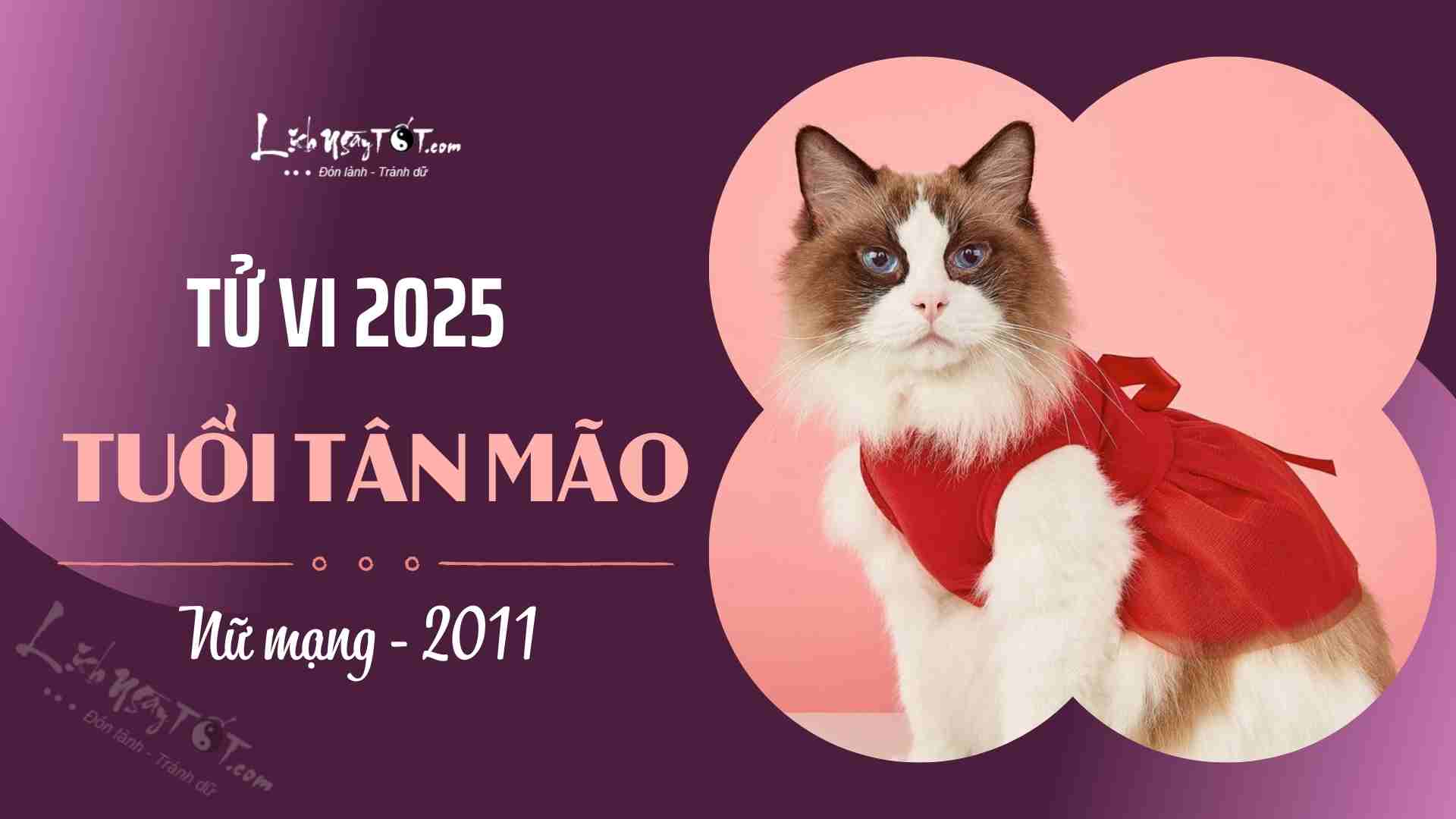 Tu vi 2025 tuoi Tan Mao nu mang 2011