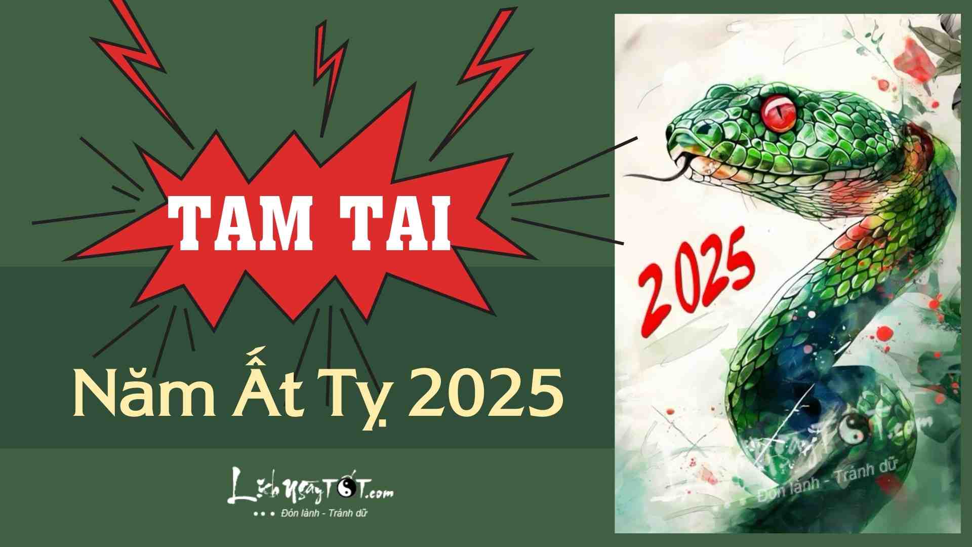 Tam Tai nam 2025