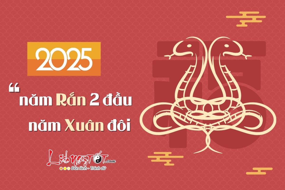 Nam 2025 la nam ran hai dau, nam xuan doi