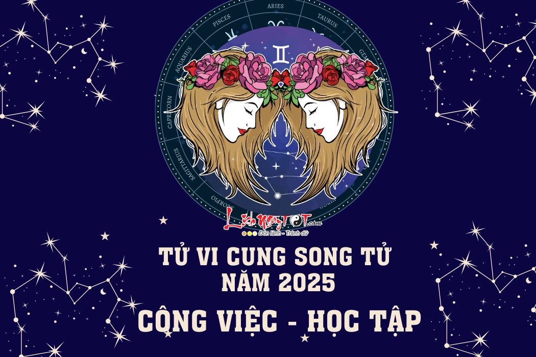 Tu vi su nghiep Song Tu nam 2025