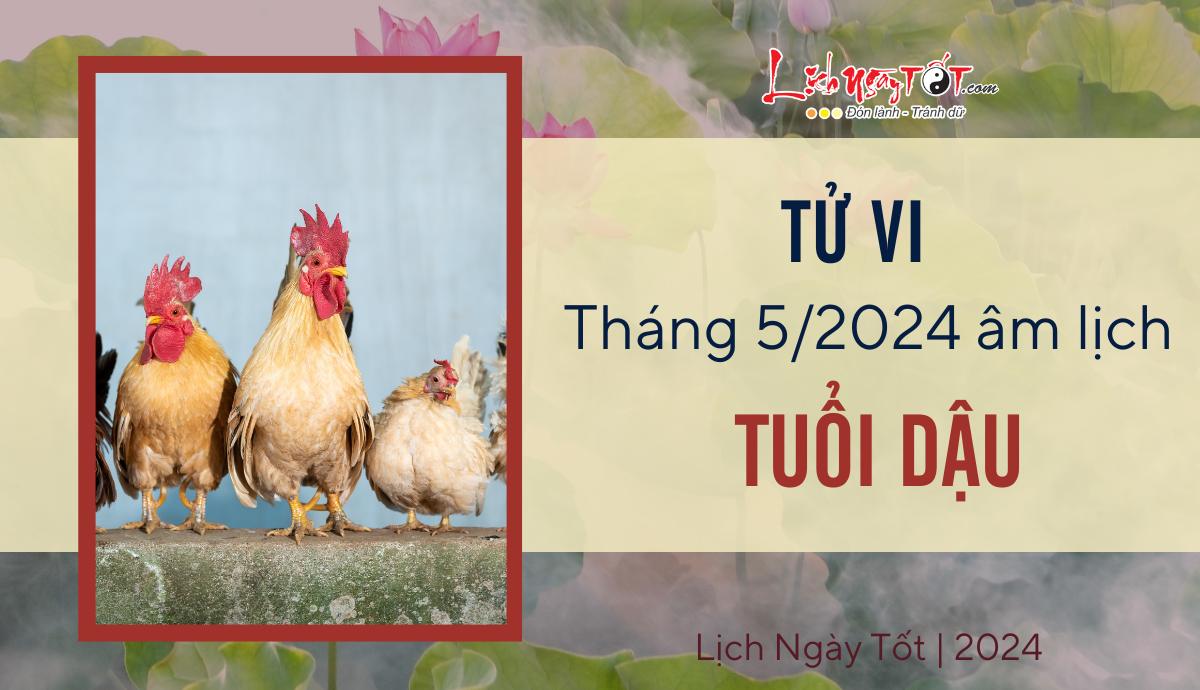 tu vi thang 5/2024 tuoi Dau am lich