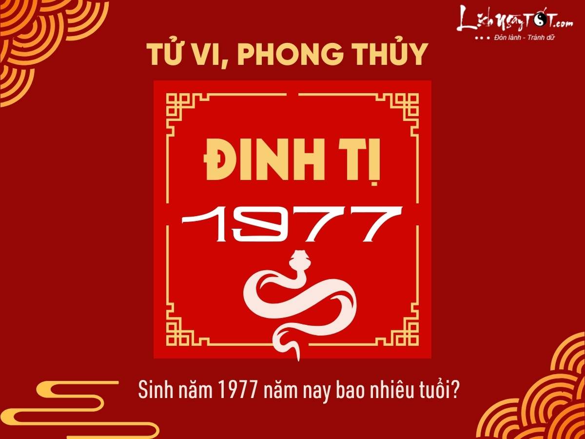 Sinh nam 1977 nam nay bao nhieu tuoi?