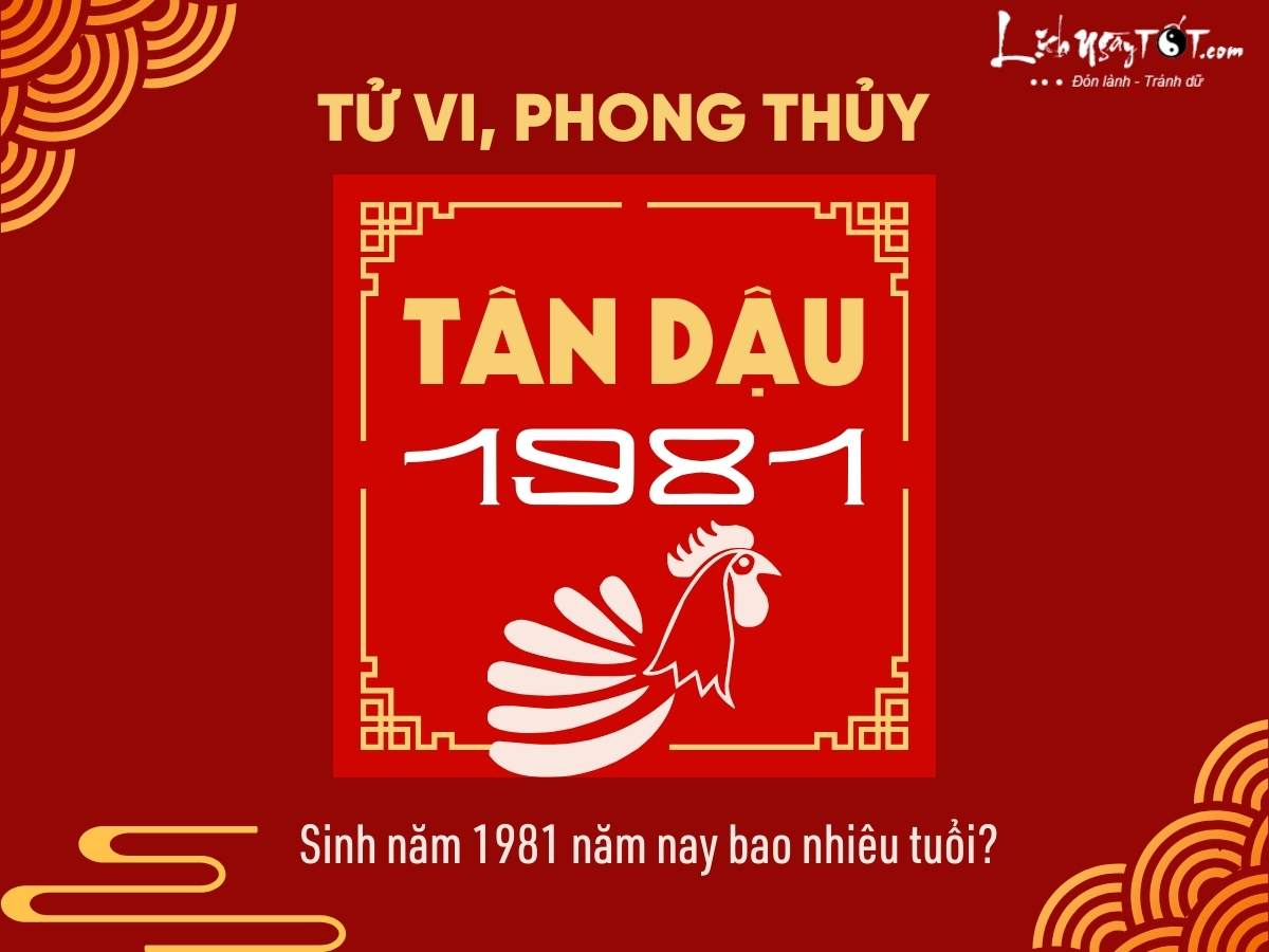 Sinh nam 1981 nam nay bao nhieu tuoi?