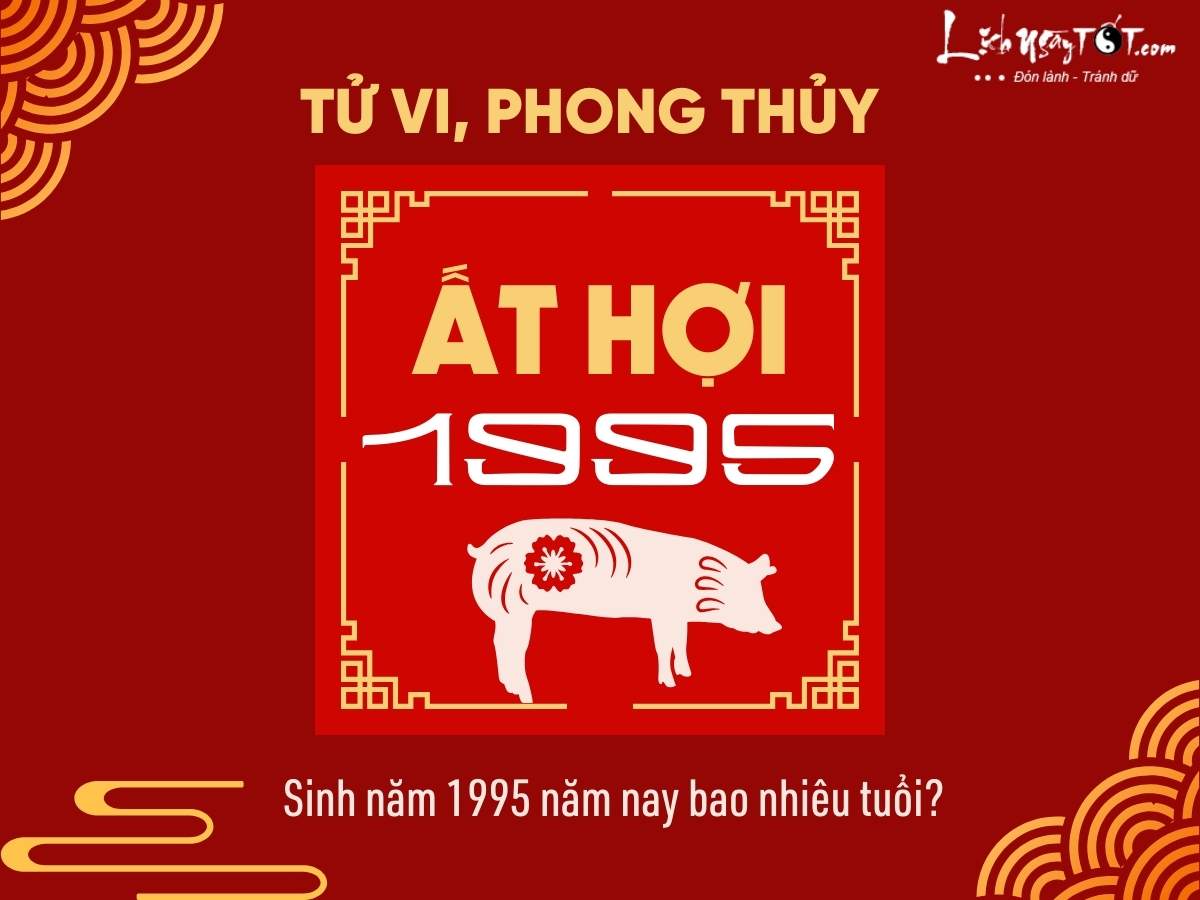 Sinh nam 1995 nam nay bao nhieu tuoi?