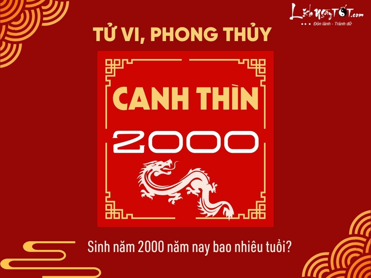 Sinh nam 2000 nam nay bao nhieu tuoi?